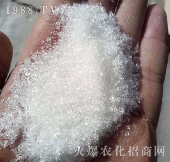 99%�����V-��(gu��)�����Q(m��o)