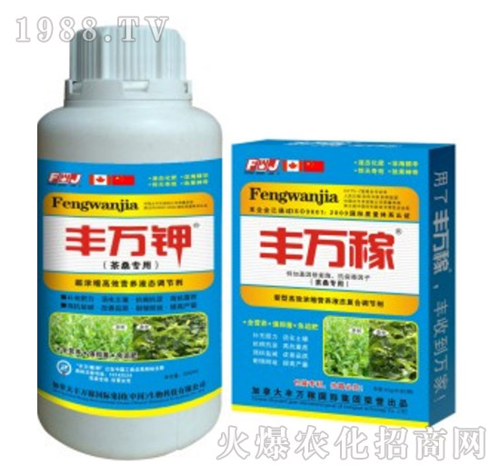 ��ɣ���ø�Ч�I�B(y��ng)Һ�B(t��i)�{��(ji��)��-�S�f��