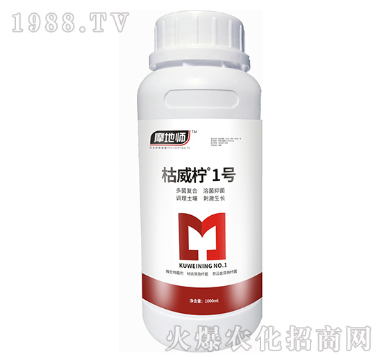 ������1̖(h��o)-Ħ�؎�-�������r(n��ng)