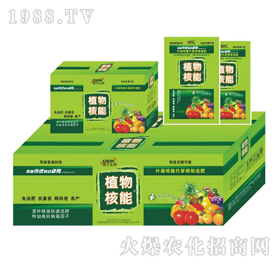 ֲ����ܴ��b-��?t��ng)����? style=