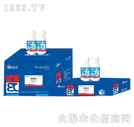 ���׌���ˎ-��������-���˸�