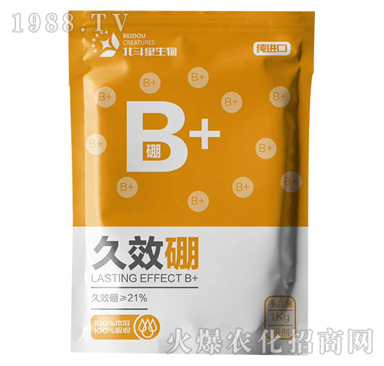 ��Ч��-������