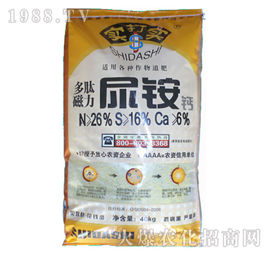 ���Ĵ������@�}-����?q��)? style=