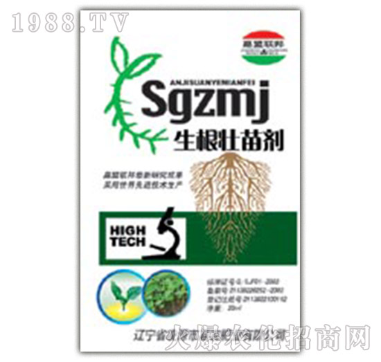 �������焩-�μ�