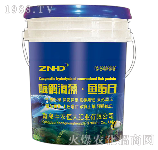 ø�⺣�塤�~(y��)����-���r(n��ng)���