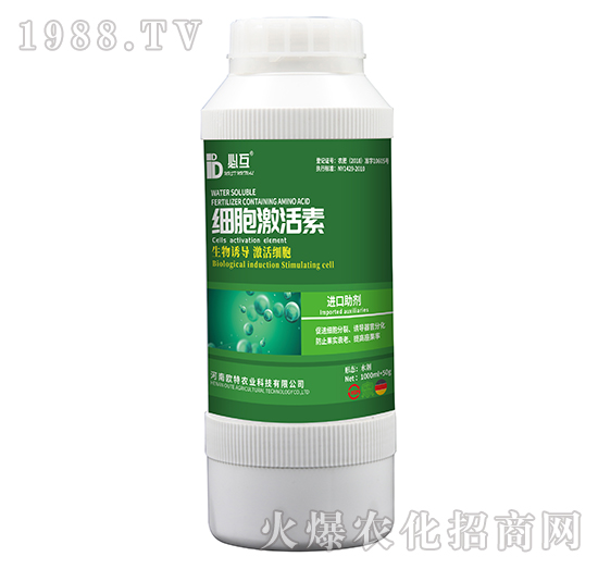 ����������-�W���r(n��ng)�I(y��)