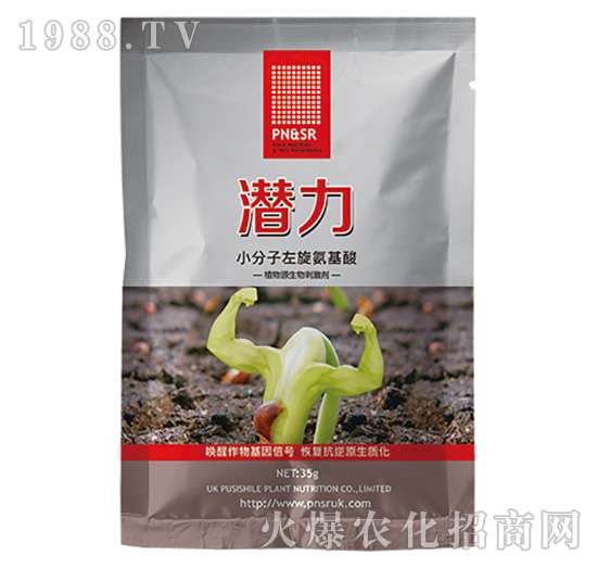 С��������������-����-ꖹ�G��