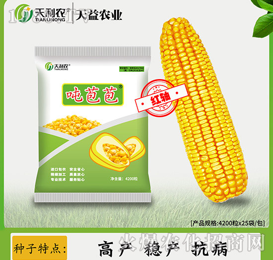 ���ׇ�����-�����r(n��ng)