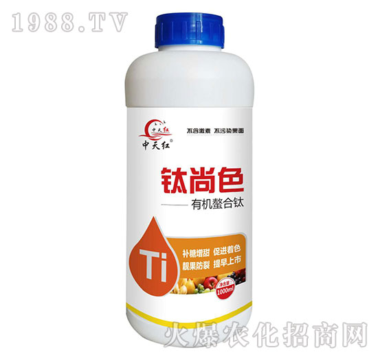 �ЙC�����-���ɫ-����t