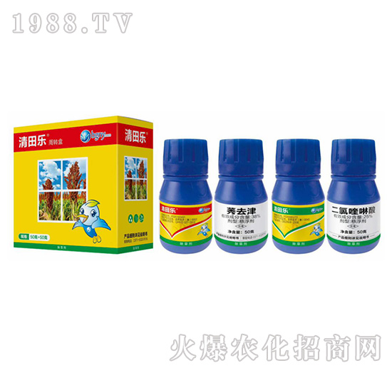 �����������݄�-���-��������