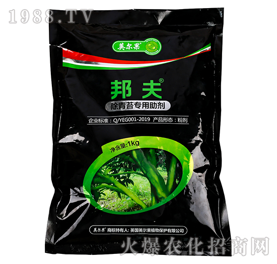 ����̦��(zhu��n)������-���-Ӣ����