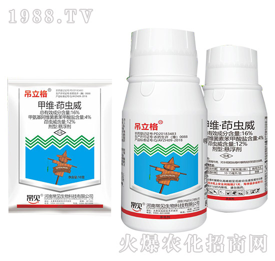 16%�׾S���x(ch��ng)��-������-��Ҋ(ji��n)����