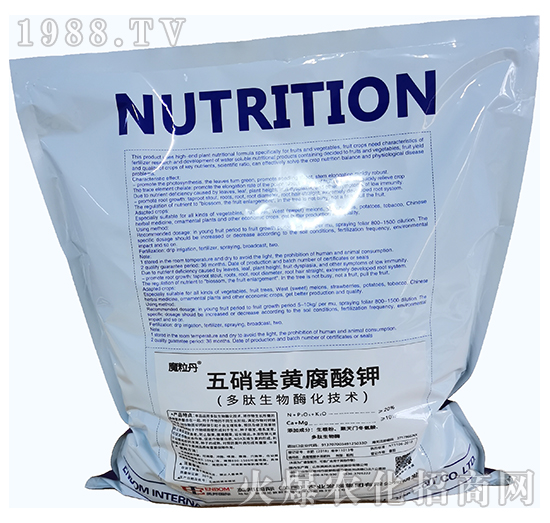 �������S�����-Ӣ��