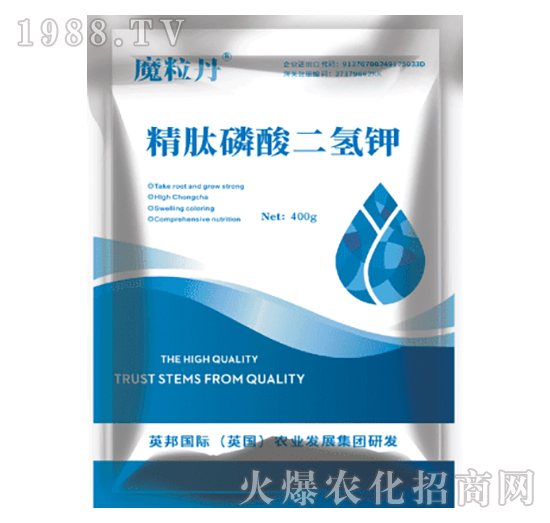 ������������-Ӣ��