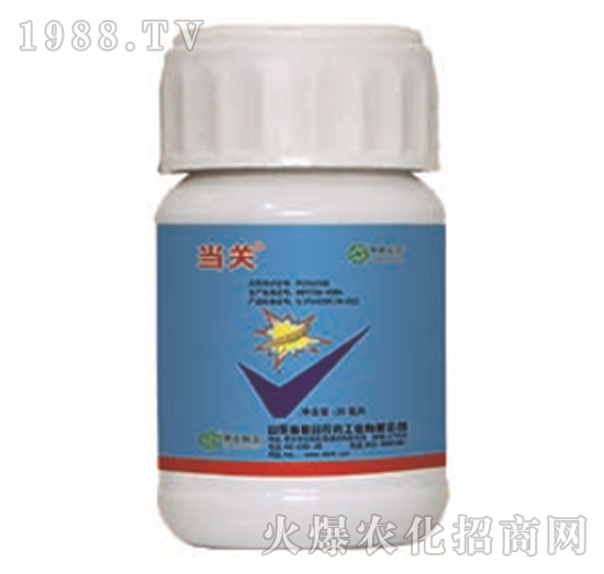 24%�����x����+5%���S����-��(d��ng)�P(gu��n)-���r(n��ng)(li��n)��