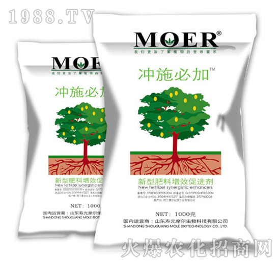 �_ʩ�ؼ�-Ħ������