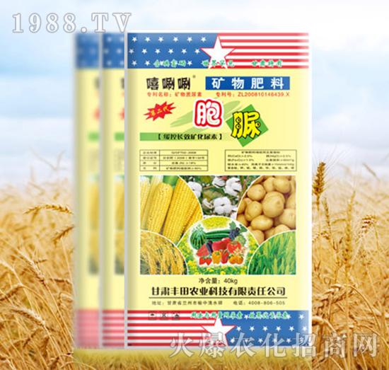 �V�����-����-����-�S���r(n��ng)�I(y��)