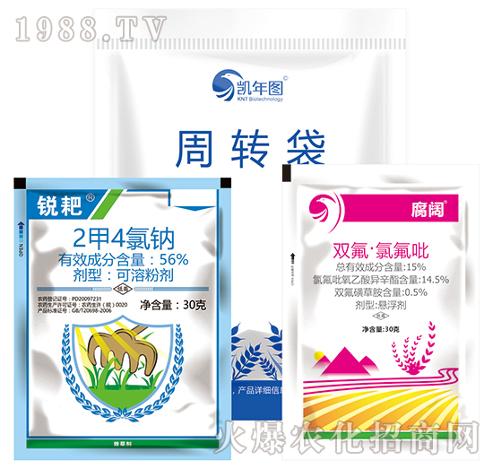 С������݄�-���2̖-�P��D