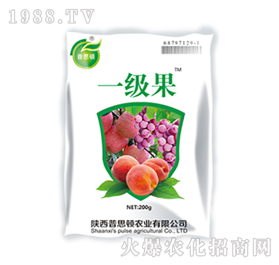 һ����-����-��˼�D�r(n��ng)�I(y��)