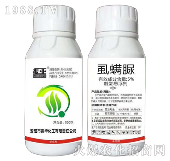 5%ʭ����-���A����