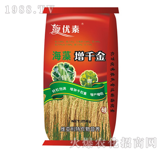 ������ǧ��-�S������