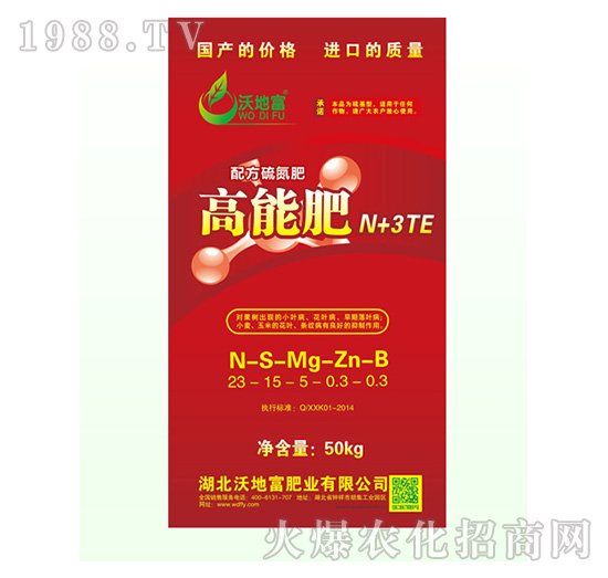 ���ܷ�N+3TE-�ֵظ�