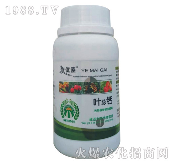 �~�}�}-�S������