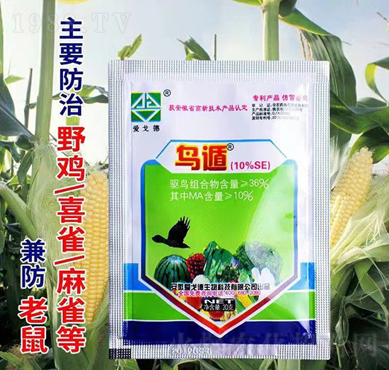 10%�B��-�۸������