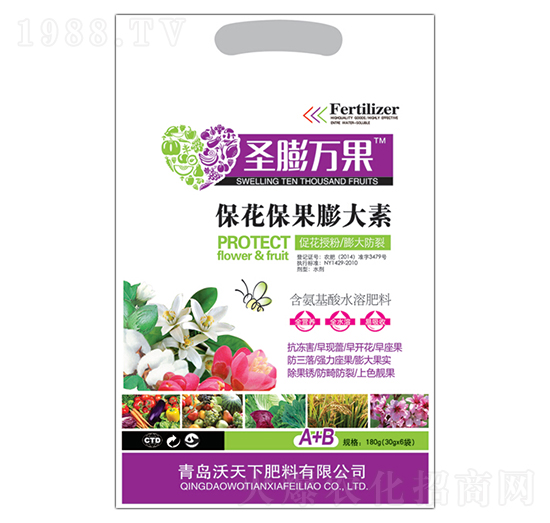 �������������-ʥ���f��-������