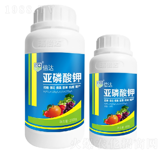 �������-���_(d��)