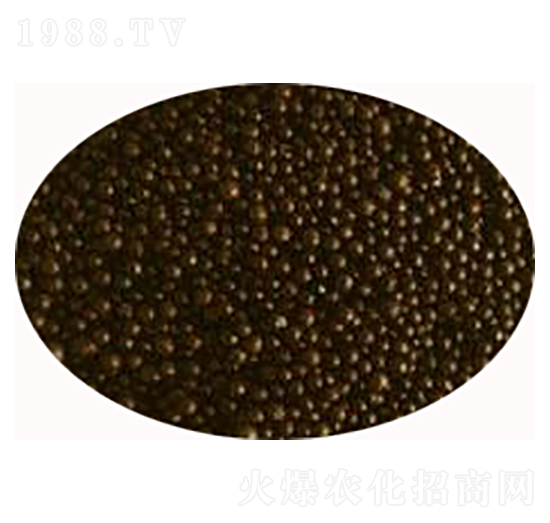 ΢������ʃr��-���S����