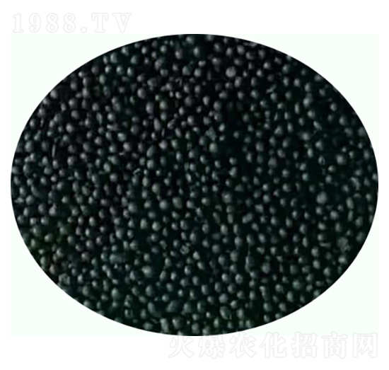 �����ЙC(j��)�ʣ��w����-���|�ʘI(y��)