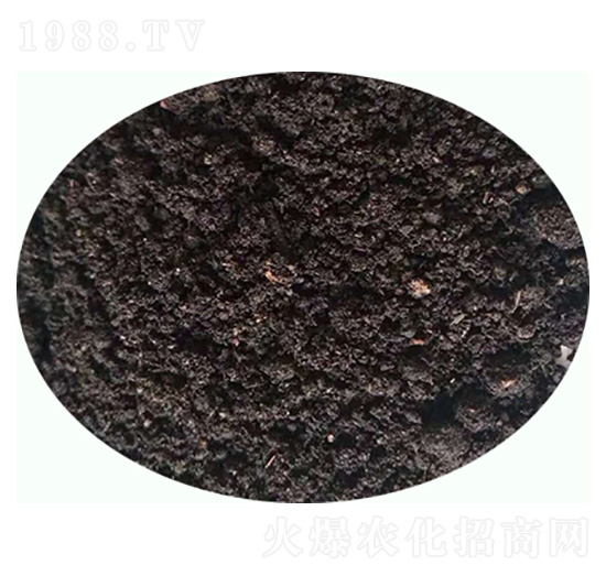 �l(f��)����S�ЙC����-���|�ʘI(y��)