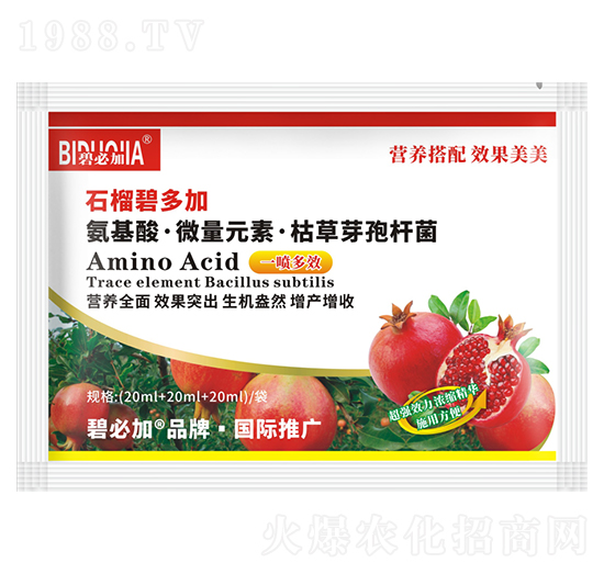 ʯ��̶��-�κ�����