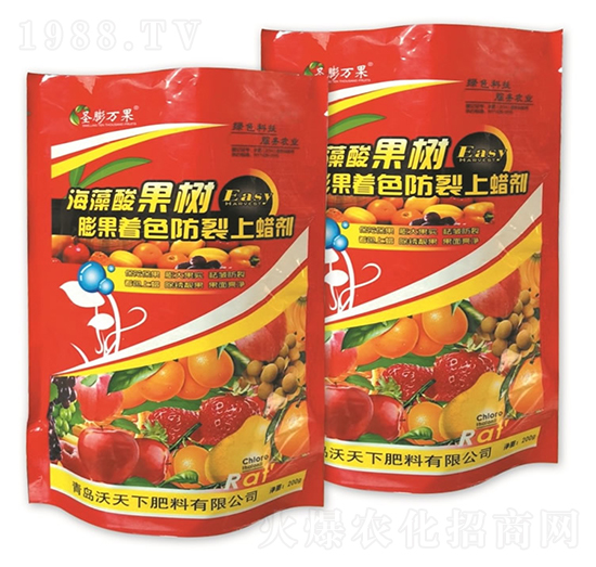 �����������ɫ������Ϟ��-������