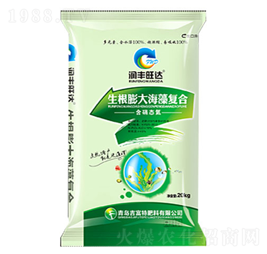 ����������(f��)�Ϸ�-���S���_(d��)-������