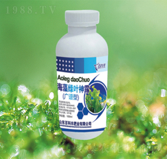 ����G�~��¶-�ٿ��S