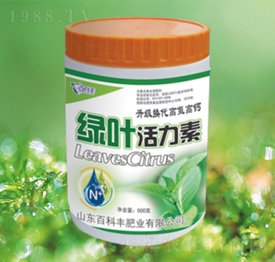 �G�~������-�ٿ��S