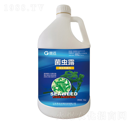 ���x¶-�n�h����