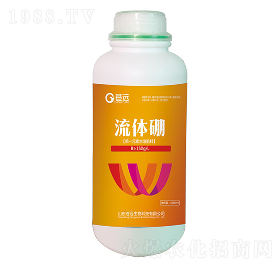 ���w��-�n�h����