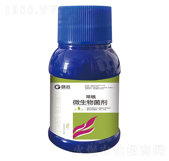 ����΢�������-�n�h����