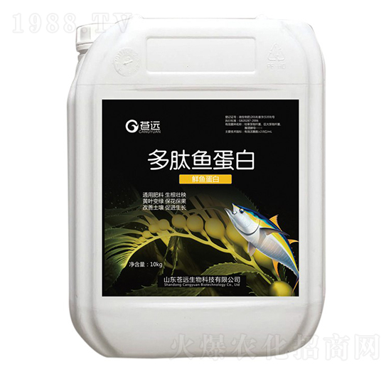 �����~����-�n�h����