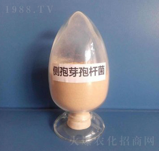 ��(c��)��ѿ�ߗU������ĩ��-��������