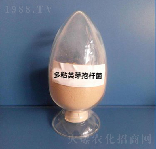 ��ճ�(l��i)ѿ�ߗU�����ۄ���-��������