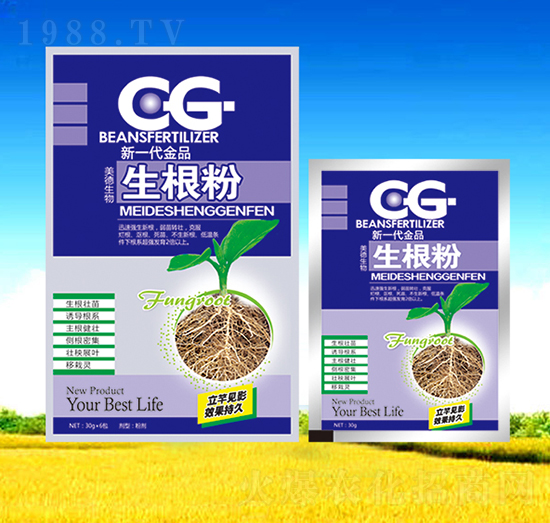 ������-��������