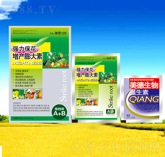 �������a(ch��n)�����-��������