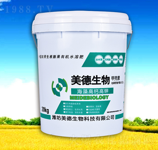 ������}��⛷�-��������