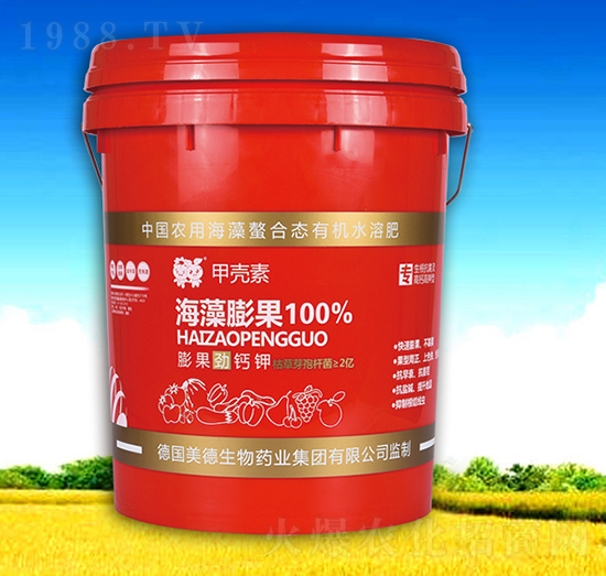 �ך��غ������100%-��������