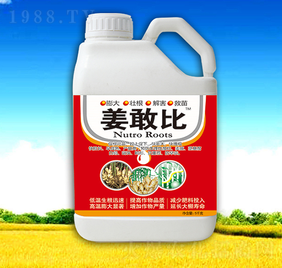 ���ұ�-��������