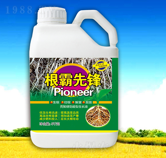 �������h-��������